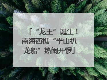 “龙王”诞生！南海西樵“半山扒龙船”热闹开锣