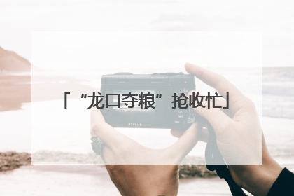 “龙口夺粮”抢收忙