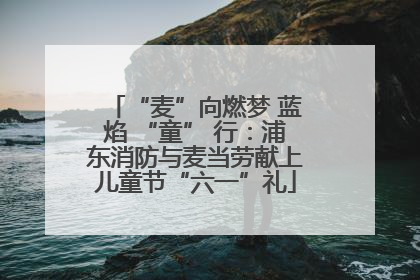 “麦”向燃梦 蓝焰 “童” 行：浦东消防与麦当劳献上儿童节“六一”礼