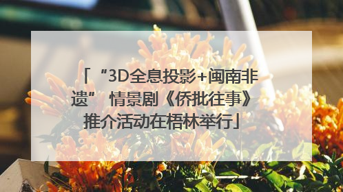 “3D全息投影+闽南非遗” 情景剧《侨批往事》推介活动在梧林举行