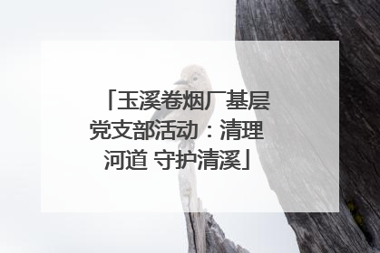 玉溪卷烟厂基层党支部活动：清理河道 守护清溪