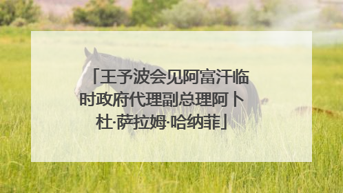 王予波会见阿富汗临时政府代理副总理阿卜杜·萨拉姆·哈纳菲