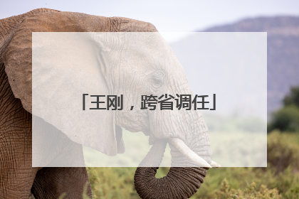 王刚，跨省调任