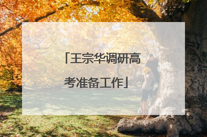 王宗华调研高考准备工作