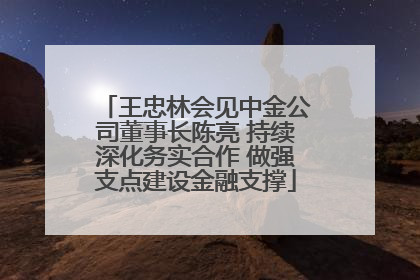 王忠林会见中金公司董事长陈亮 持续深化务实合作 做强支点建设金融支撑