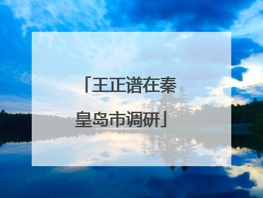 王正谱在秦皇岛市调研
