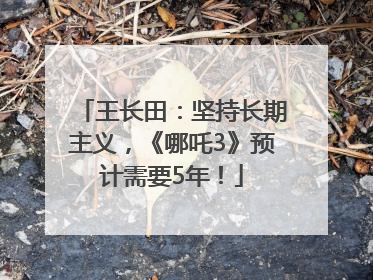 王长田：坚持长期主义，《哪吒3》预计需要5年！