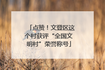 点赞！文登区这个村获评“全国文明村”荣誉称号