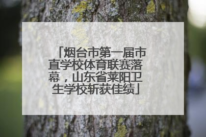 烟台市第一届市直学校体育联赛落幕，山东省莱阳卫生学校斩获佳绩