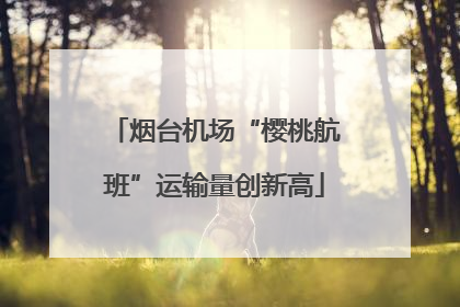烟台机场“樱桃航班”运输量创新高