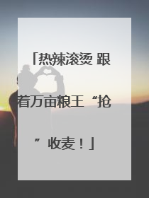 热辣滚烫 跟着万亩粮王“抢”收麦！