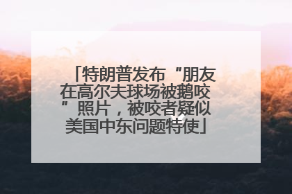 特朗普发布“朋友在高尔夫球场被鹅咬”照片，被咬者疑似美国中东问题特使