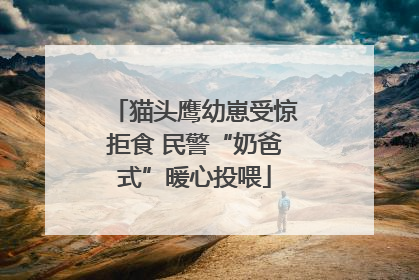 猫头鹰幼崽受惊拒食 民警“奶爸式”暖心投喂