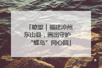 瞭望｜福建漳州东山县，画出守护“蝶岛”同心圆