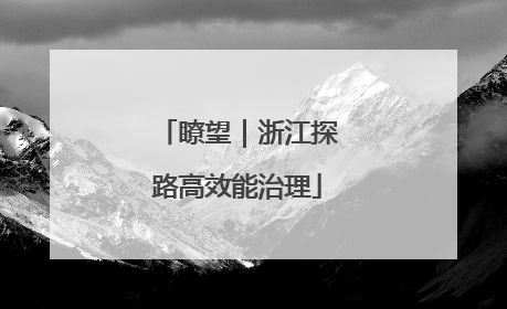 瞭望｜浙江探路高效能治理