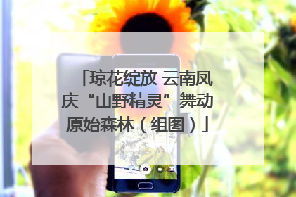 琼花绽放 云南凤庆“山野精灵”舞动原始森林（组图）