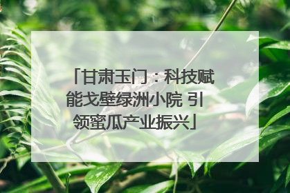 甘肃玉门：科技赋能戈壁绿洲小院 引领蜜瓜产业振兴