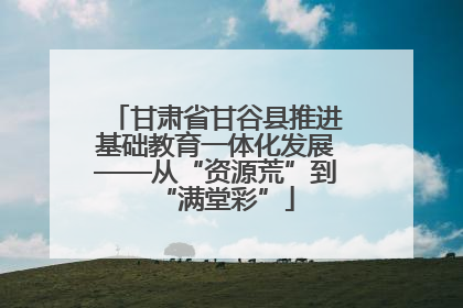 甘肃省甘谷县推进基础教育一体化发展——从“资源荒”到“满堂彩”