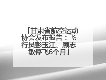 甘肃省航空运动协会发布报告：飞行员彭玉江、顾志敏停飞6个月