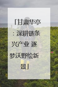 甘肃华亭：深耕链条兴产业 逐梦沃野绘新景
