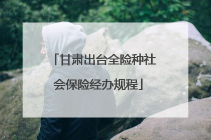 甘肃出台全险种社会保险经办规程