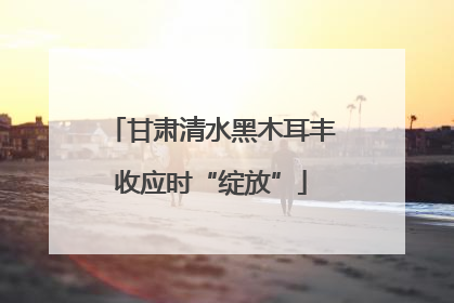 甘肃清水黑木耳丰收应时“绽放”