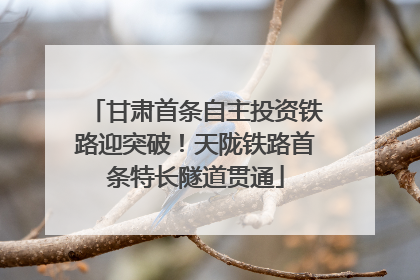 甘肃首条自主投资铁路迎突破！天陇铁路首条特长隧道贯通
