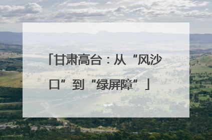 甘肃高台：从“风沙口”到“绿屏障”