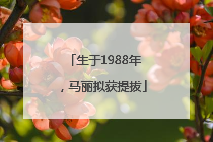生于1988年，马丽拟获提拔