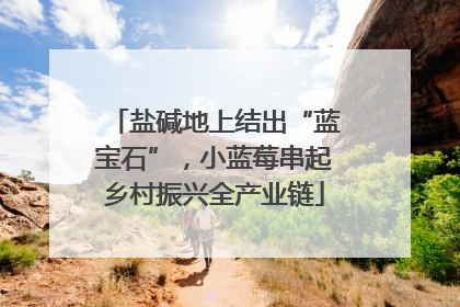盐碱地上结出“蓝宝石”，小蓝莓串起乡村振兴全产业链