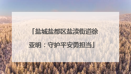 盐城盐都区盐渎街道徐亚明：守护平安勇担当