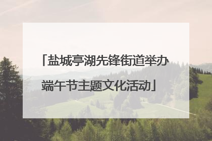 盐城亭湖先锋街道举办端午节主题文化活动