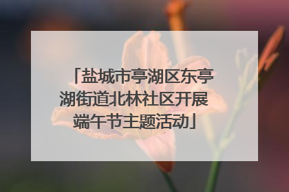 盐城市亭湖区东亭湖街道北林社区开展端午节主题活动
