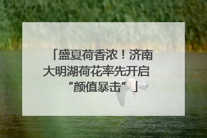 盛夏荷香浓！济南大明湖荷花率先开启“颜值暴击”