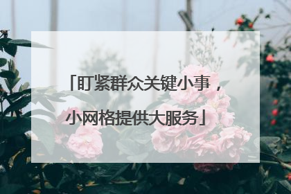 盯紧群众关键小事，小网格提供大服务
