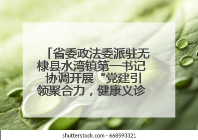 省委政法委派驻无棣县水湾镇第一书记 协调开展“党建引领聚合力，健康义诊惠乡亲”义诊活动