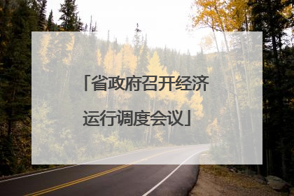 省政府召开经济运行调度会议
