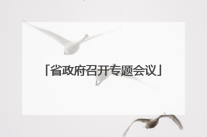 省政府召开专题会议