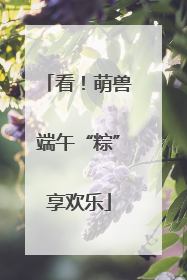看！萌兽端午“粽”享欢乐