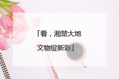 看，湘楚大地文物绽新彩
