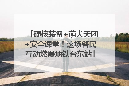 硬核装备+萌犬天团+安全课堂！这场警民互动燃爆地铁台东站