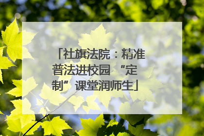 社旗法院：精准普法进校园 “定制”课堂润师生