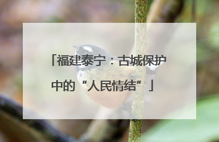 福建泰宁：古城保护中的“人民情结”