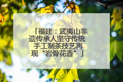 福建：武夷山非遗传承人坚守传统 手工制茶技艺再现“岩骨花香”