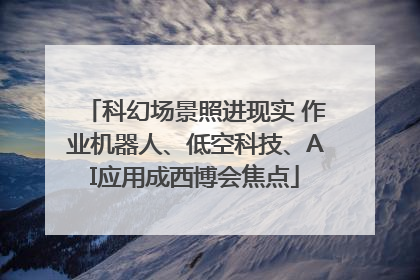 科幻场景照进现实 作业机器人、低空科技、AI应用成西博会焦点