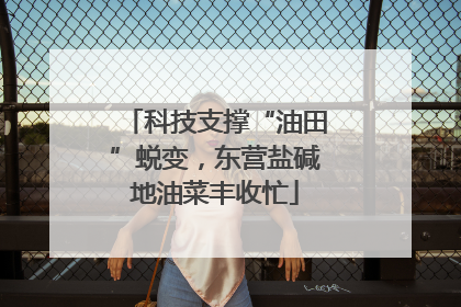 科技支撑“油田”蜕变，东营盐碱地油菜丰收忙