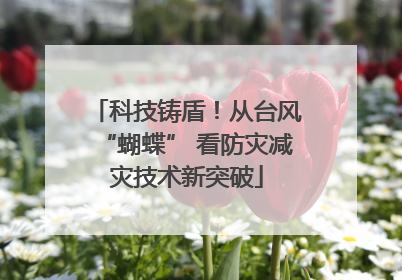 科技铸盾！从台风“蝴蝶” 看防灾减灾技术新突破