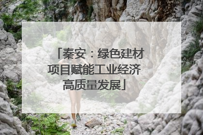 秦安：绿色建材项目赋能工业经济高质量发展