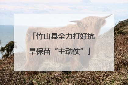 竹山县全力打好抗旱保苗“主动仗”