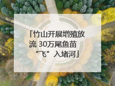 竹山开展增殖放流 30万尾鱼苗“飞”入堵河